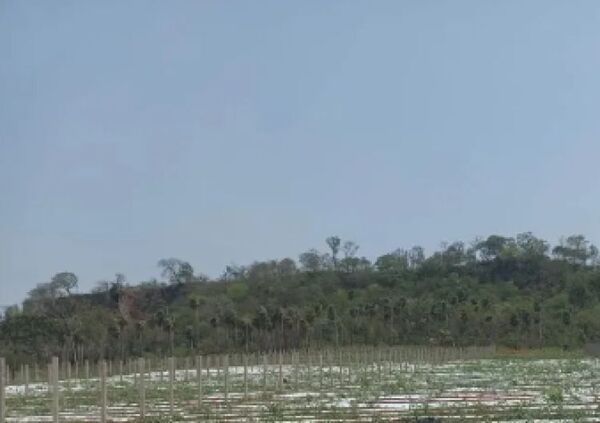 Intervención de la fiscalía ante productores afectados por agrotóxicos