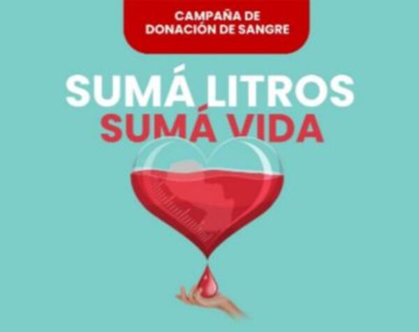 Empresas se unen para impulsar la mayor campaña de donación de sangre - El Independiente