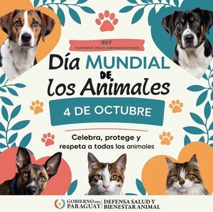 Día Mundial de los Animales: “Hagamos que el 4 de octubre sean 365 días de compromiso” • PARAGUAY TV