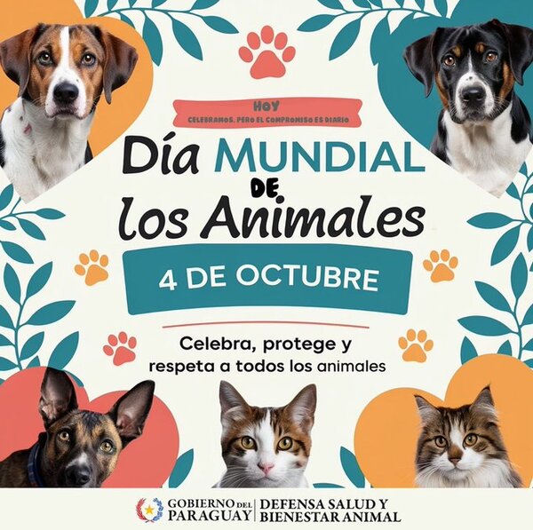 Día Mundial de los Animales: “Hagamos que el 4 de octubre sean 365 días de compromiso” • PARAGUAY TV