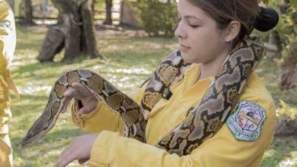 ¡Importante! Qué hacer ante la aparición de serpientes o animales similares en casa