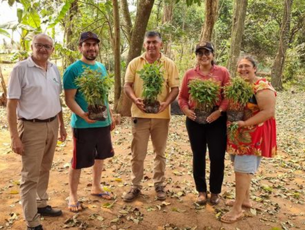 Productores de Los Cedrales reciben 2.000 mudas para reforestación - La Clave