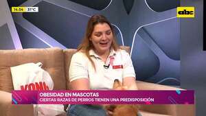 Obesidad en perros: ciertas razas tienen mayor predisposición  - Ensiestados - ABC Color