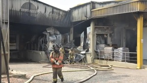 Fábrica procesadora de pollos afectada por incendio será trasladada a nuevo sitio