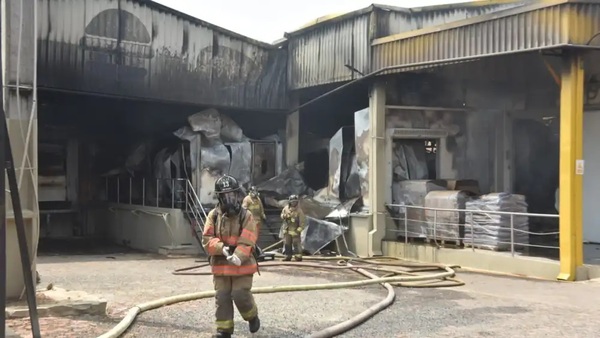 Fábrica procesadora de pollos afectada por incendio será trasladada a nuevo sitio