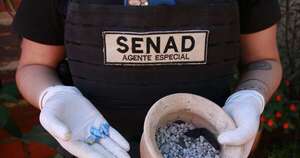 Diario HOY | Adicción al crack: sin abordaje integral no se desactiva la bomba, afirman