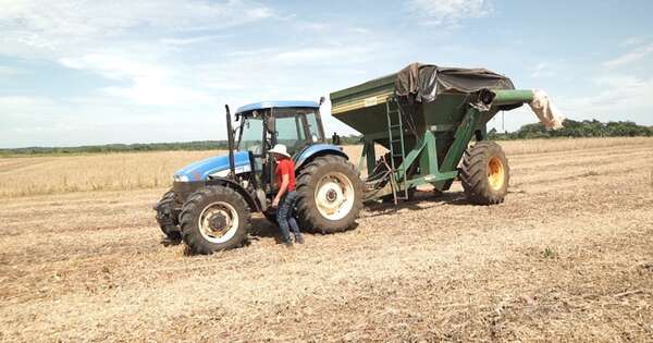 La Nación / Campaña agrícola: niveles de lluvias se mantendrían por debajo del promedio este mes