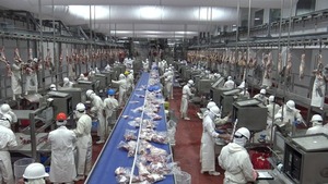 Comisión Europea propone postergar un año la implementación del R1115