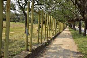 Aprueban intervención urgente del Jardín Botánico y Zoológico de Asunción - Nacionales - ABC Color