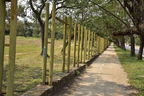 Aprueban intervención urgente del Jardín Botánico y Zoológico de Asunción - Nacionales - ABC Color