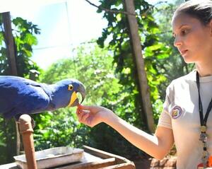 Reafirman compromiso con la conservación de la fauna silvestre en el Día Mundial de los Animales - ADN Digital