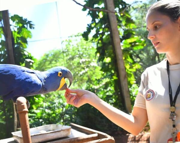 Reafirman compromiso con la conservación de la fauna silvestre en el Día Mundial de los Animales - ADN Digital