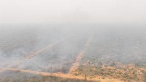 Suspenden proyecto en una finca donde se presume se originó incendio en el Chaco paraguayo
