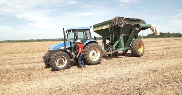 La Nación / Campaña agrícola: niveles de lluvias seguirán por debajo del promedio
