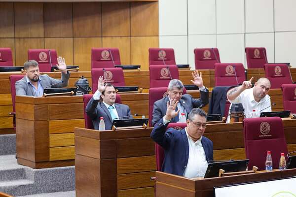 Comisión ‘garrote’: el cartismo “no podía refrenar sus ansias de ‘castigar’ a los disidentes” - Política - ABC Color