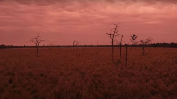 El documental Los Últimos representará a Paraguay en los premios Oscar y Goya