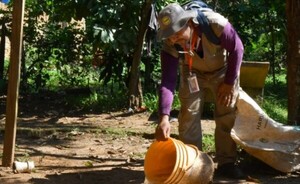 Dengue: Estiman una epidemia de menor magnitud para el verano