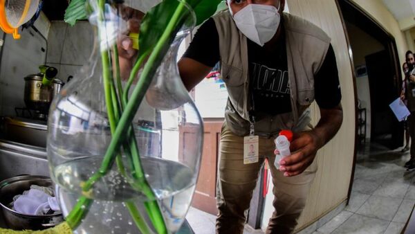 Vigilancia de Salud proyecta una epidemia de dengue de menor magnitud para el verano