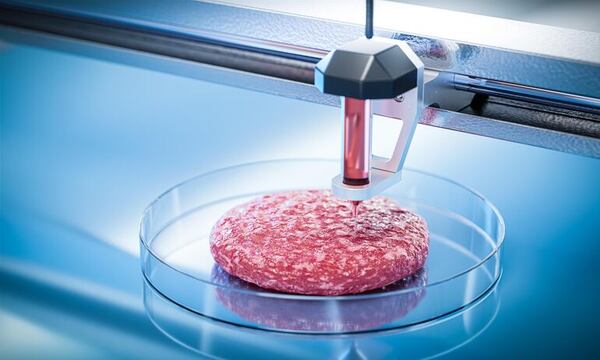“Carne 3D”: ¿es el futuro? - ABC Revista - ABC Color