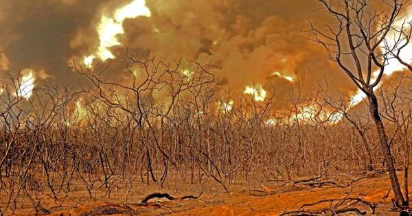 La Nación / Paraguay en llamas: ¿estamos en la era del piroceno o fuego incontrolable?