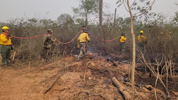 Incendio forestal: El fuego vuelve a reactivarse y avanza rápidamente en el Cerro Chovoreca