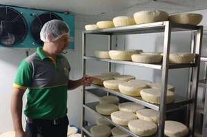 Alimentos: Paraguay tiene potencial para seguir alimentando al país y al mundo, afirma representante de FAO - Economía - ABC Color