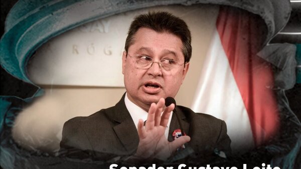Eligen a senador anti-ONG como el carruaje de la semana