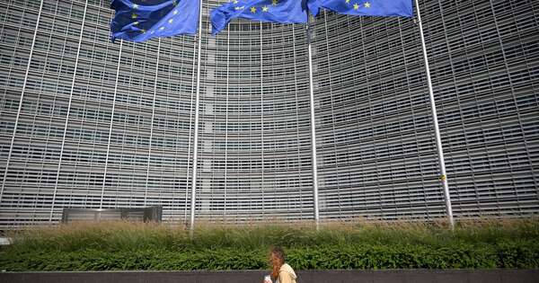 La Nación / Brasil celebra propuesta de aplazar ley antideforestación de UE