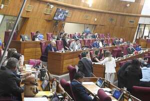 Insisten en plan que permitiría “blanqueo” en Diputados - Política - ABC Color