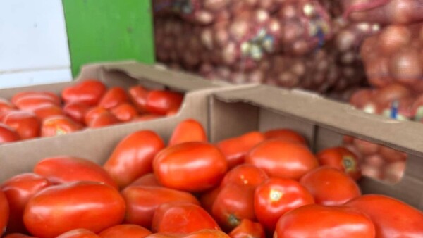 Denuncian contrabando y piden mejor precio del tomate