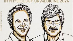 Nobel de Medicina para Ambros y Ruvkun por el microARN y su papel en regulación génica