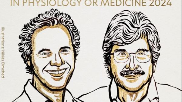 Nobel de Medicina para Ambros y Ruvkun por el microARN y su papel en regulación génica