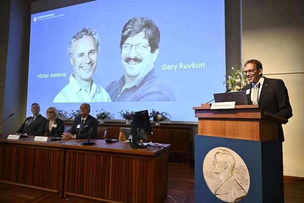 Nobel de Medicina para Ambros y Ruvkun por el micro-ARN y su papel en regulación génica - Mundo - ABC Color