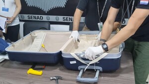 Can antidroga detecta cocaína y un pasajero es detenido en el Silvio Pettirossi