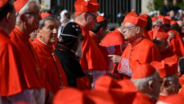 Estos son los 21 nuevos cardenales que creará el Papa Francisco » San Lorenzo PY