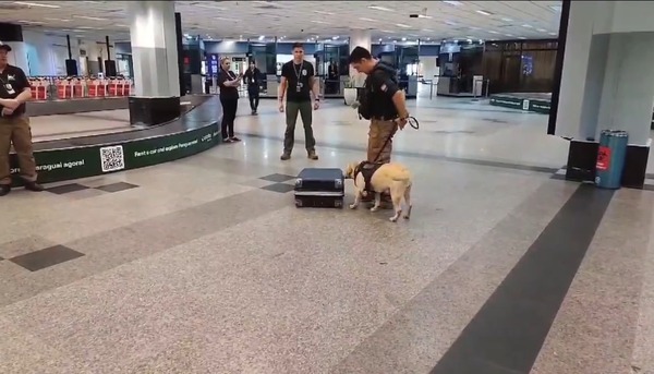 Detienen a hombre que pretendía abordar un vuelo a Madrid con cocaína - trece