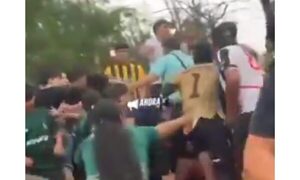 (VIDEO) Hinchas y peloteros se agarraron a golpes en semifinales de un torneo