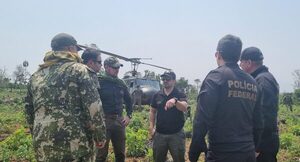 Operación “Nueva Alianza 47” culmina con eliminación de 680 toneladas de marihuana - La Clave