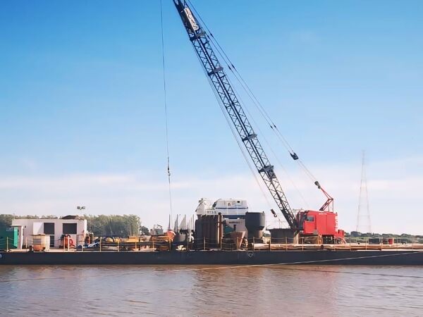 Aceptar el Reglamento UE 1115 significa entrega de soberanía nacional
