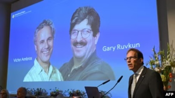 El premio Nobel de Medicina 2024 fue otorgado a los estadounidenses Victor Ambros y Gary Ruvkun - ADN Digital