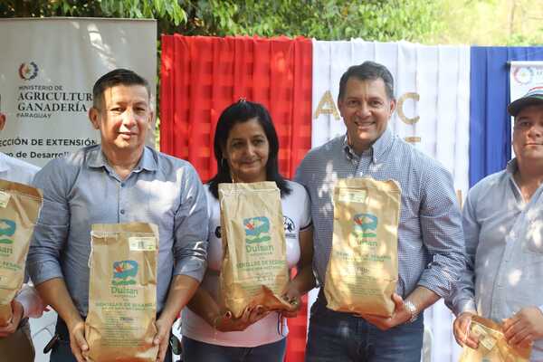 Gobierno impulsa campaña de siembra de sésamo con una inyección superior a G. 4.360 millones - ADN Digital