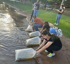 Con la siembra de peces estudiantes buscan mejorar la calidad de agua del Lago Ypacaraí - Nacionales - ABC Color