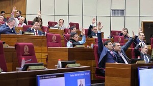 Mayoría en Senado apunta a finiquitar el control a las oenegés