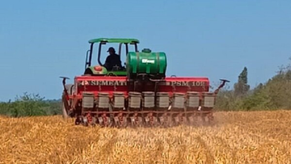 Lluvias recientes no son suficientes para avanzar con siembra