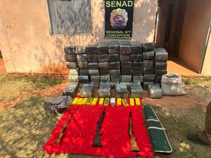 SENAD INCAUTA 962 KILOS DE MARIHUANA