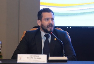 TSJE no puede intervenir de oficio en caso de convención liberal, explican - ADN Digital