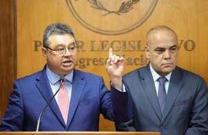 Donación de Itaipú a ONG de Leite: diputado cree que “estuvimos financiando una campaña” - Política - ABC Color