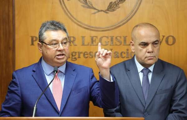 Donación de Itaipú a ONG de Leite: diputado cree que “estuvimos financiando una campaña” - Política - ABC Color