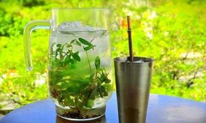 Paraguayos cambian al tereré por el agua en hoppie