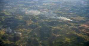 La Nación / Informe mundial destaca a Paraguay por reducir la deforestación en el 2023